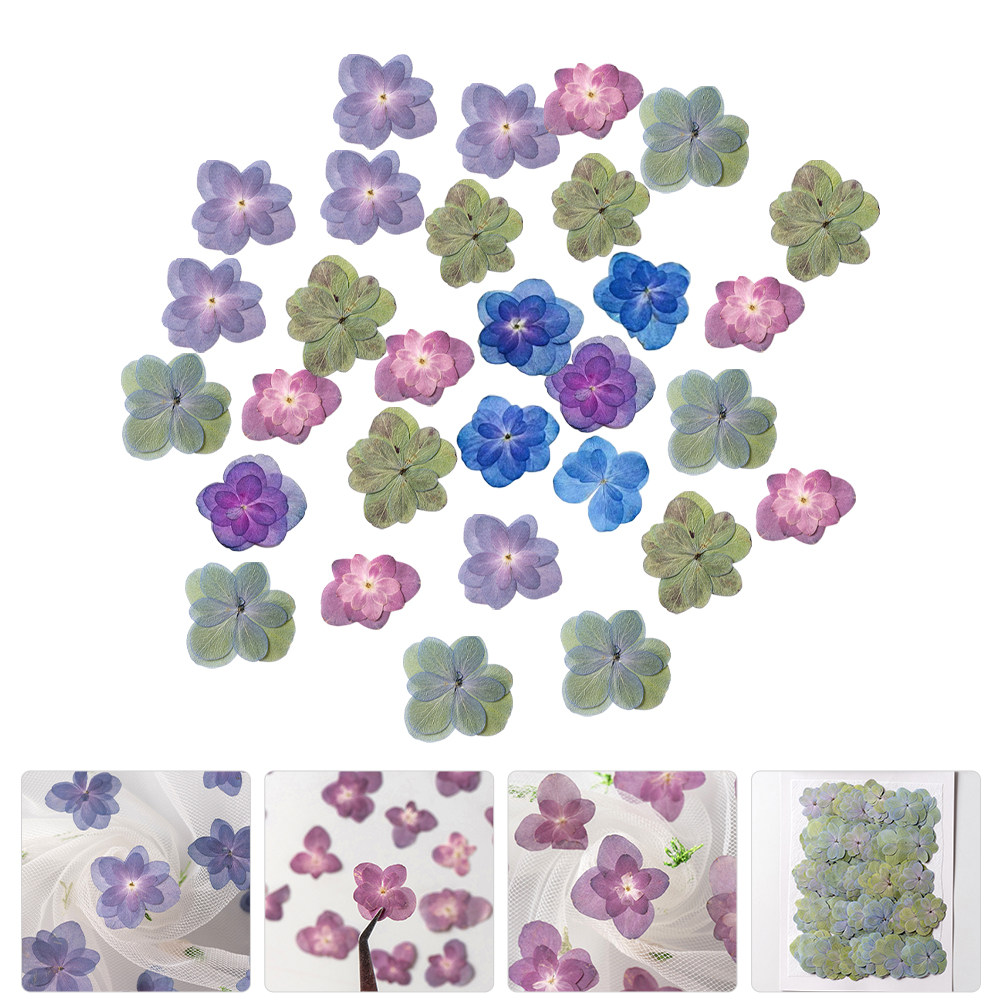 Dried Flower Bulk - 30Pcs Multicolored Pressed Dried Flowers for