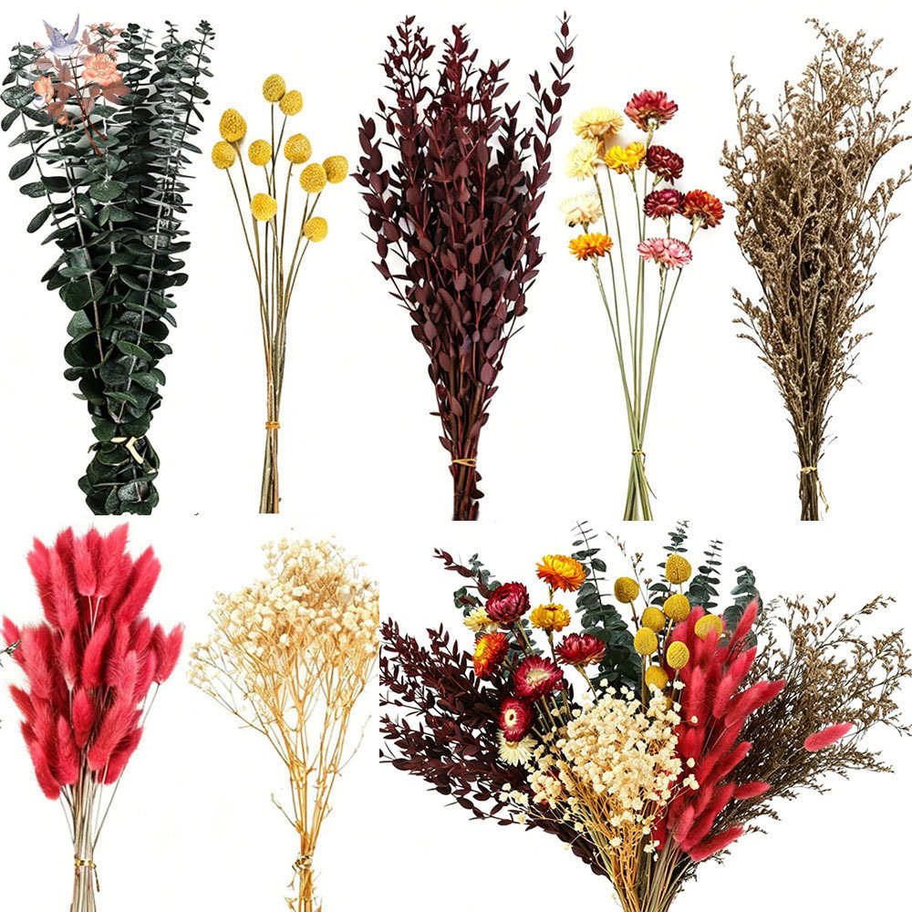 Dried Flowers Bulk Set 7 Kinds - Dried Flower Bulk ulasan dan harga