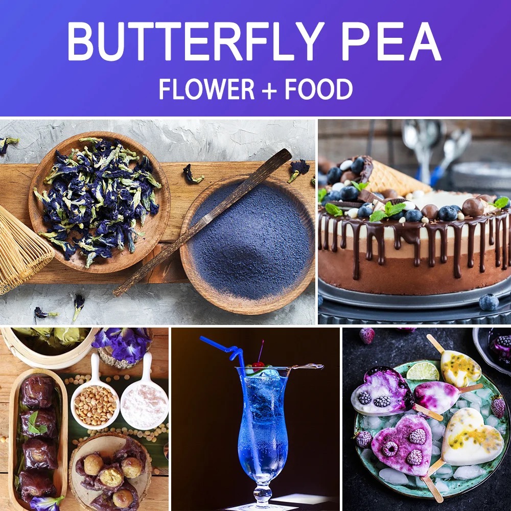 Organic Butterfly Pea Flower T - Dried Flower Bulk ulasan dan harga