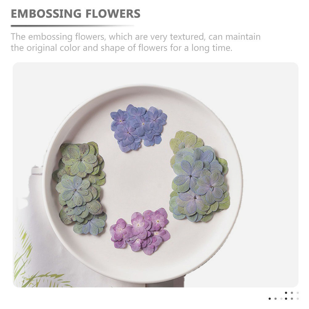 30Pcs Multicolored Pressed Dri - Dried Flower Bulk ulasan dan harga