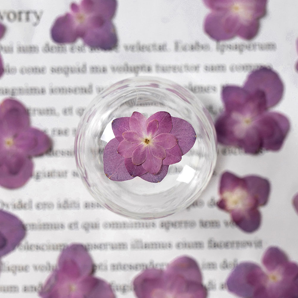 30Pcs Multicolored Pressed Dri - Dried Flower Bulk ulasan dan harga