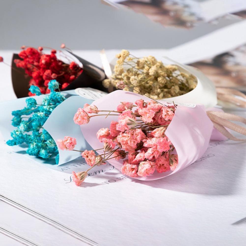 Artificial Bouquet Gypsophila  - Dried Flower Bulk ulasan dan harga