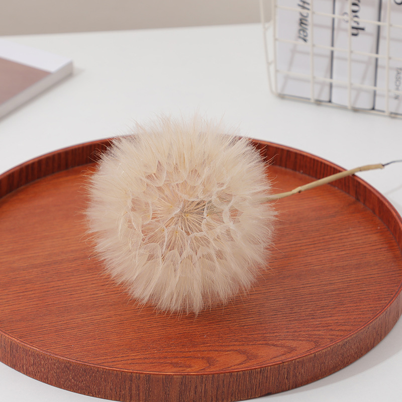 Preserved Dandelion DIY Epoxy  - Resin Crafts ulasan dan harga